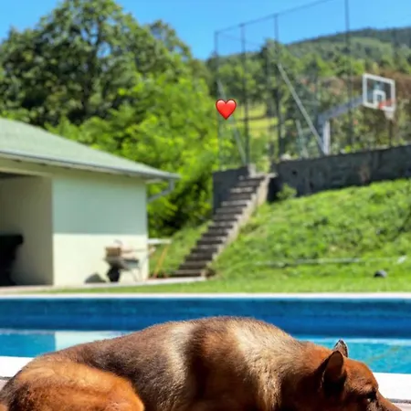 Villa Bugaric House - Kamenica *